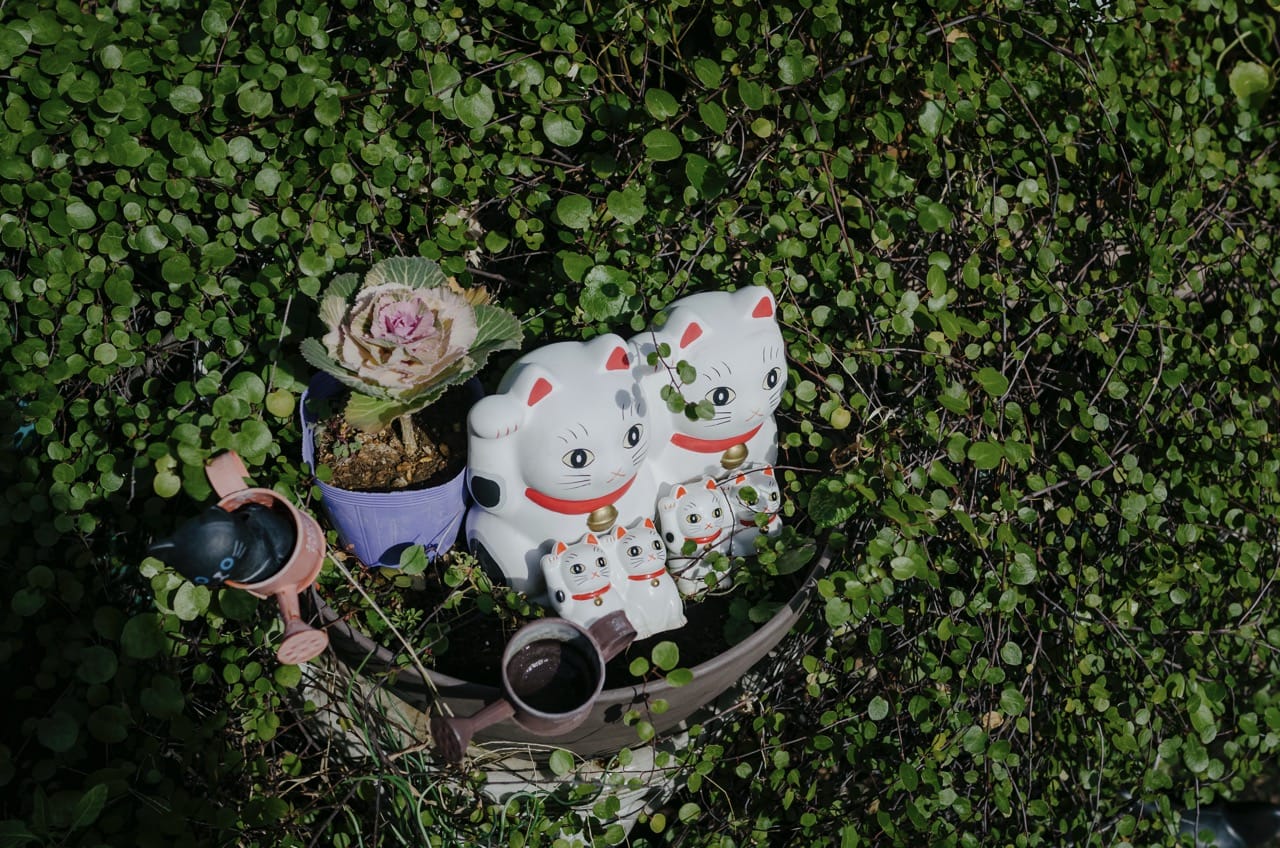 Превью Tokyo 2024